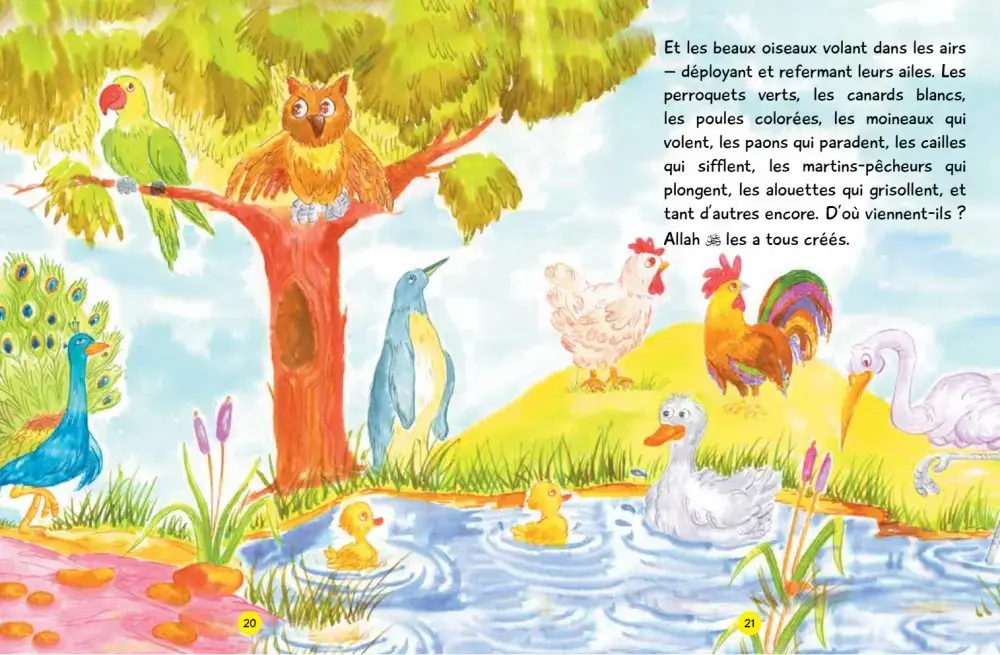 33908-Les-Recits-du-Coran-pour-Enfants-p20