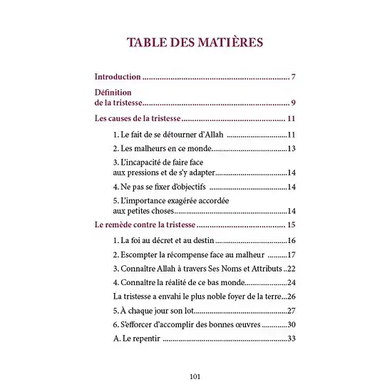 37613-ne-sois-pas-triste-allah-est-ton-seigneur-2